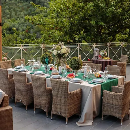 Lavish In With Terrace *